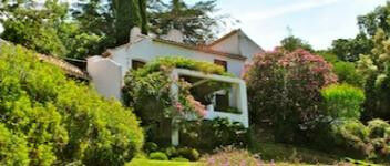 Finca - Cortijo Casares Málaga - image 2