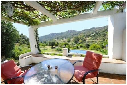 Finca - Cortijo Casares Málaga - image 5