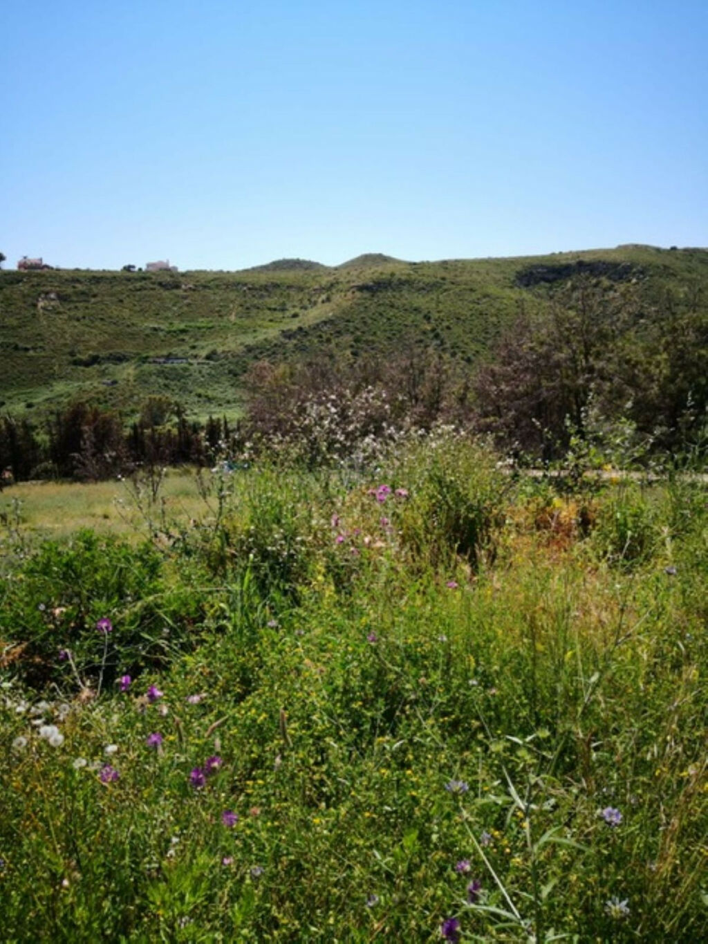 Land Manilva Málaga - image 2