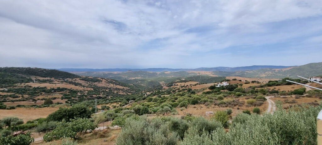 Finca - Cortijo Casares Málaga - image 14