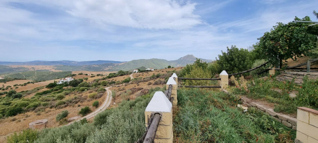 Finca - Cortijo Casares Málaga - image 16