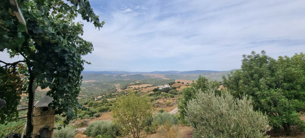 Finca - Cortijo Casares Málaga - image 17