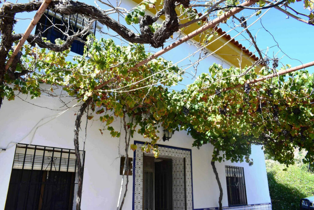Semi-Detached House Cútar Málaga - image 2