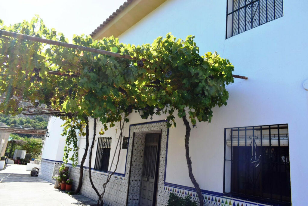Semi-Detached House Cútar Málaga - image 20