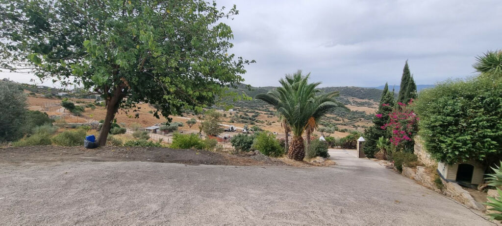 Finca - Cortijo Casares Málaga - image 5