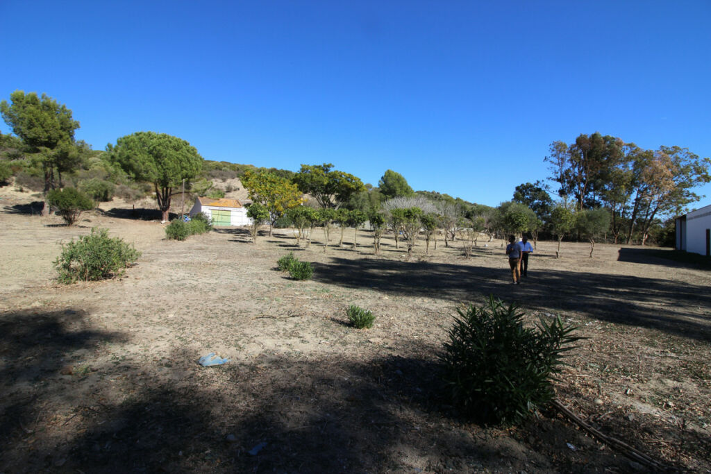 Land San Martín de Tesorillo Cádiz - image 20