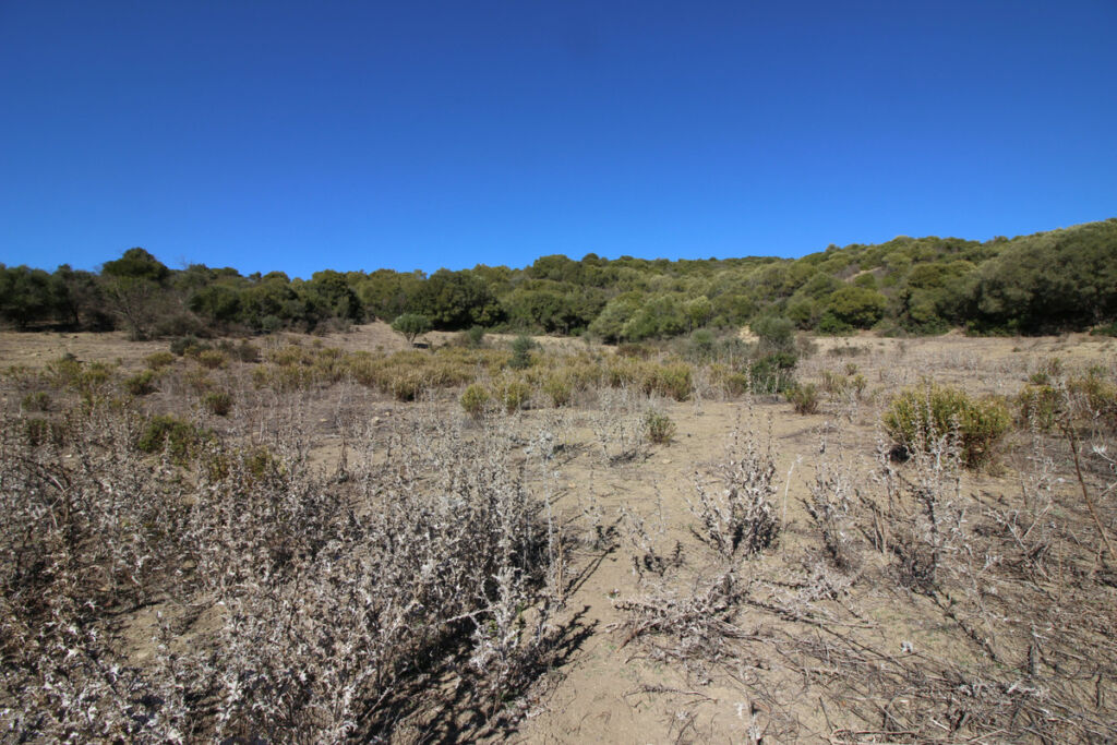 Land San Martín de Tesorillo Cádiz - image 24