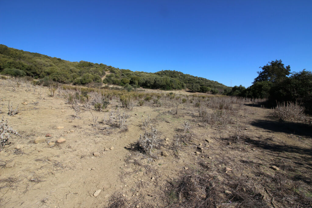 Land San Martín de Tesorillo Cádiz - image 27