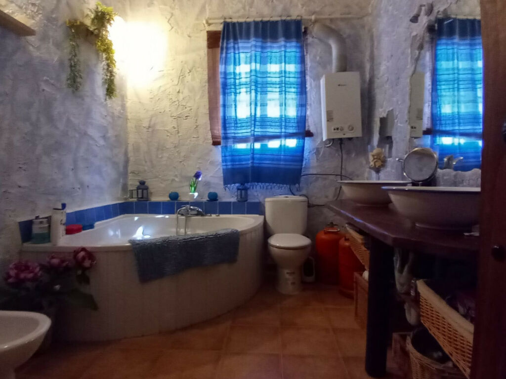 Detached Villa Riogordo Málaga - image 27