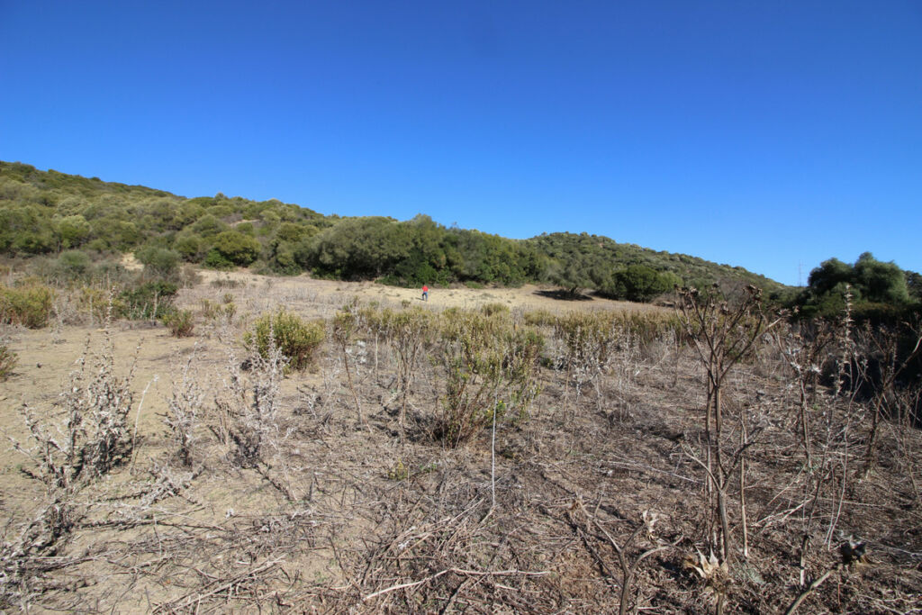 Land San Martín de Tesorillo Cádiz - image 28