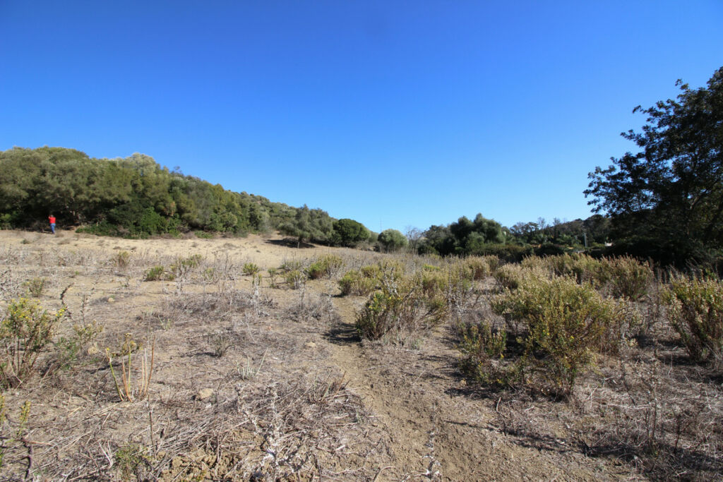 Land San Martín de Tesorillo Cádiz - image 29