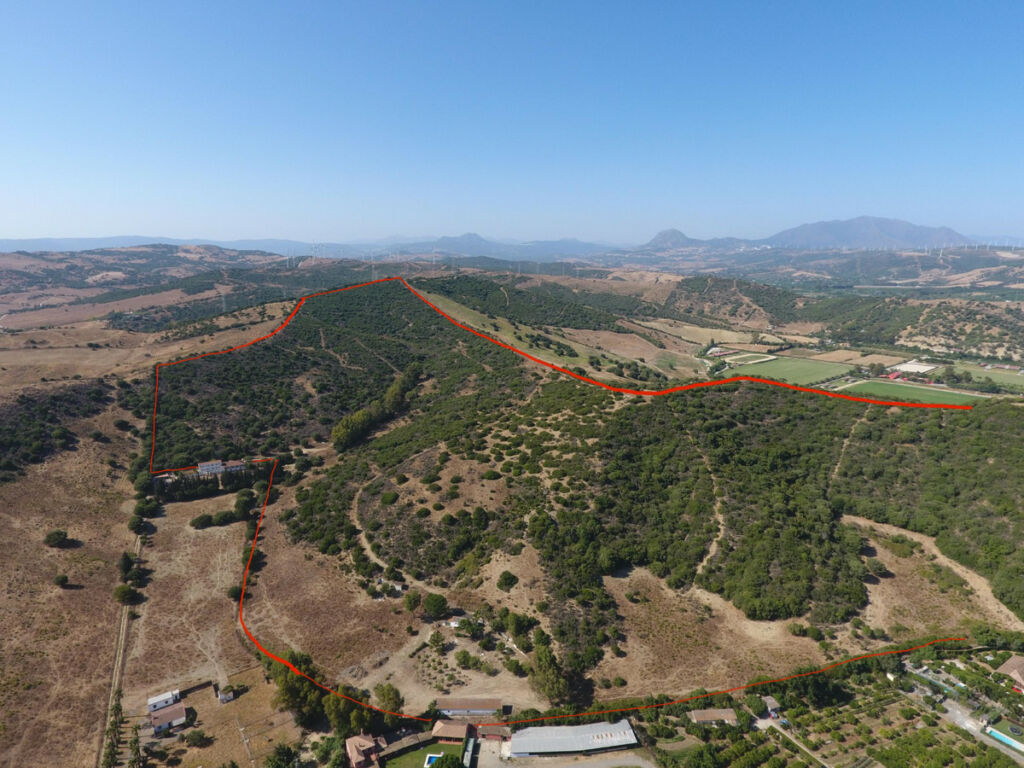 Land San Martín de Tesorillo Cádiz - image 3