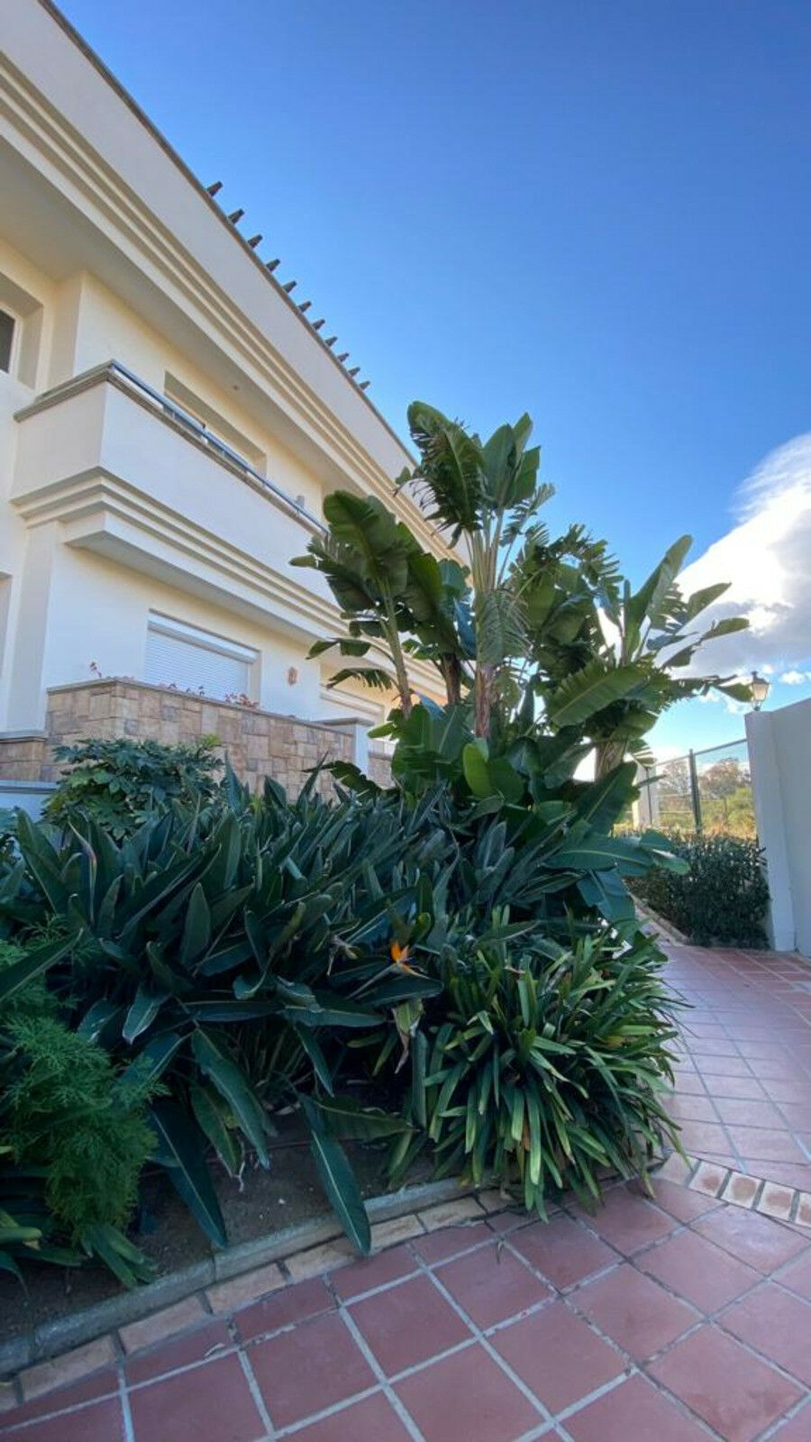 Top Floor Apartment Estepona Málaga - image 3