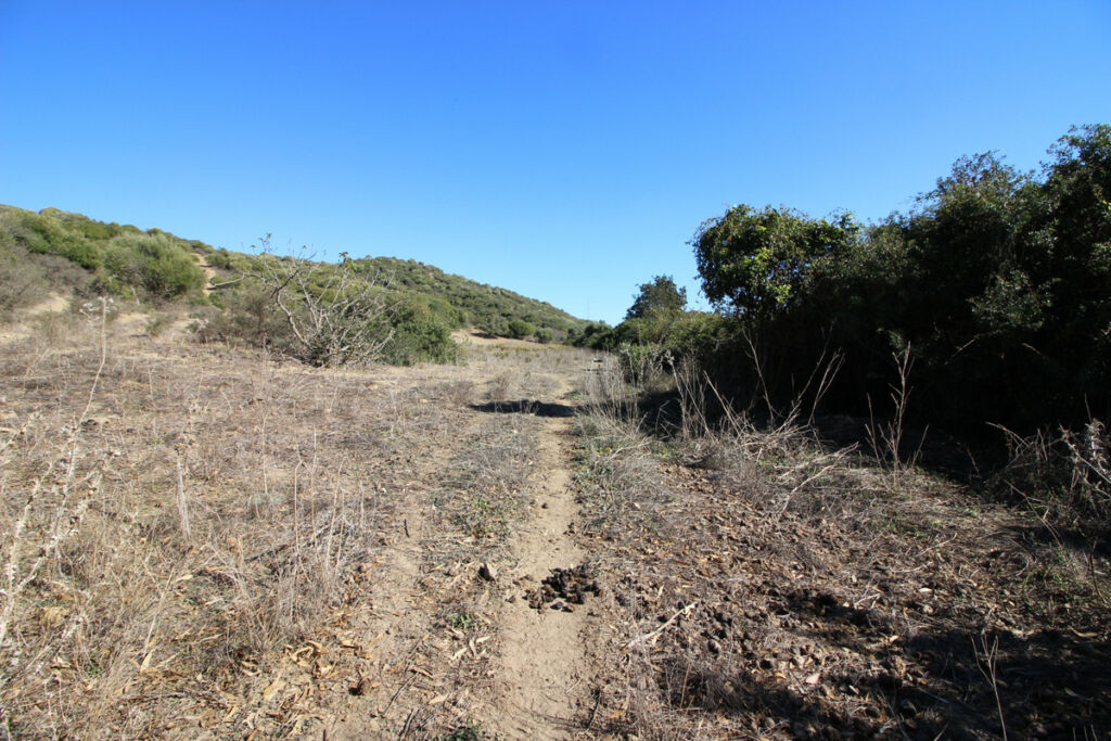 Land San Martín de Tesorillo Cádiz - image 30