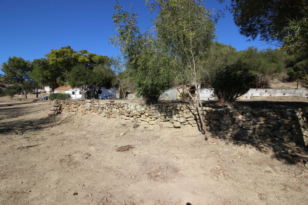 Land San Martín de Tesorillo Cádiz - image 31