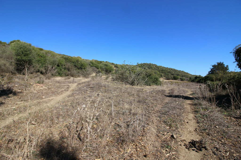 Land San Martín de Tesorillo Cádiz - image 33