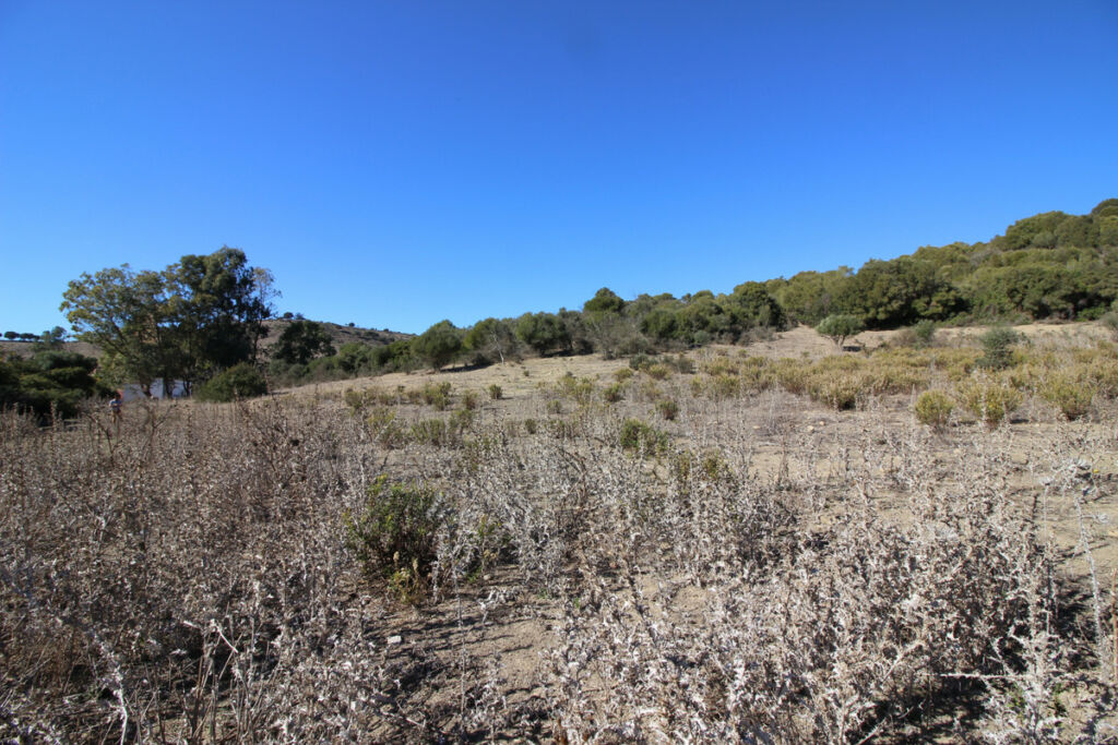 Land San Martín de Tesorillo Cádiz - image 35