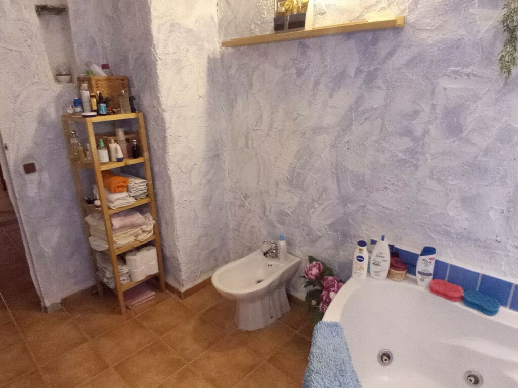 Detached Villa Riogordo Málaga - image 36