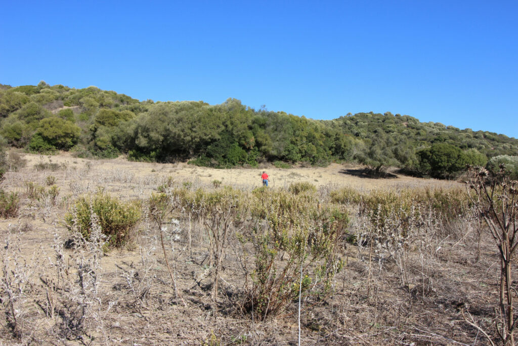 Land San Martín de Tesorillo Cádiz - image 36