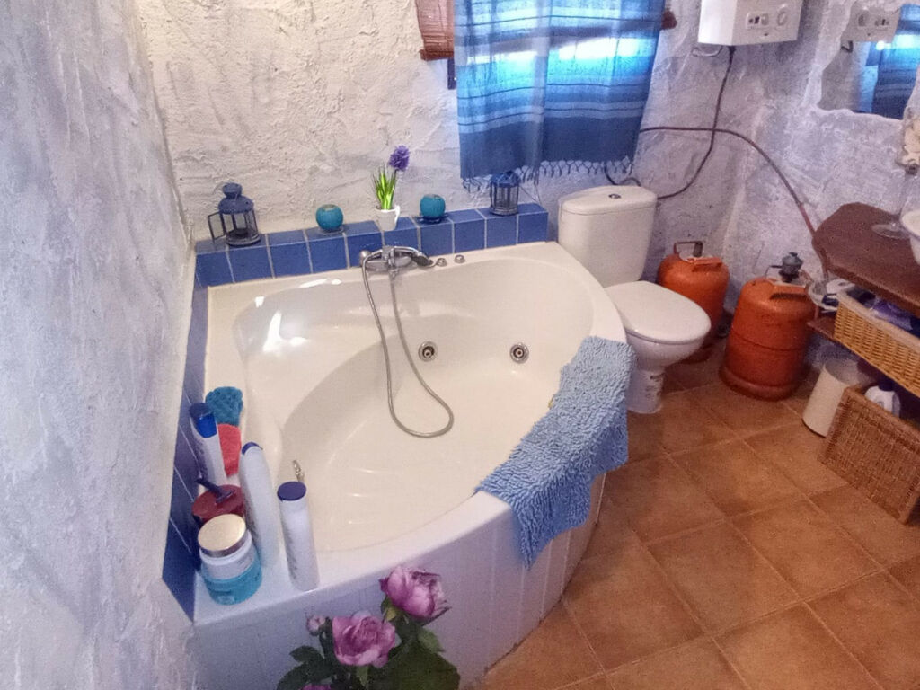 Detached Villa Riogordo Málaga - image 37
