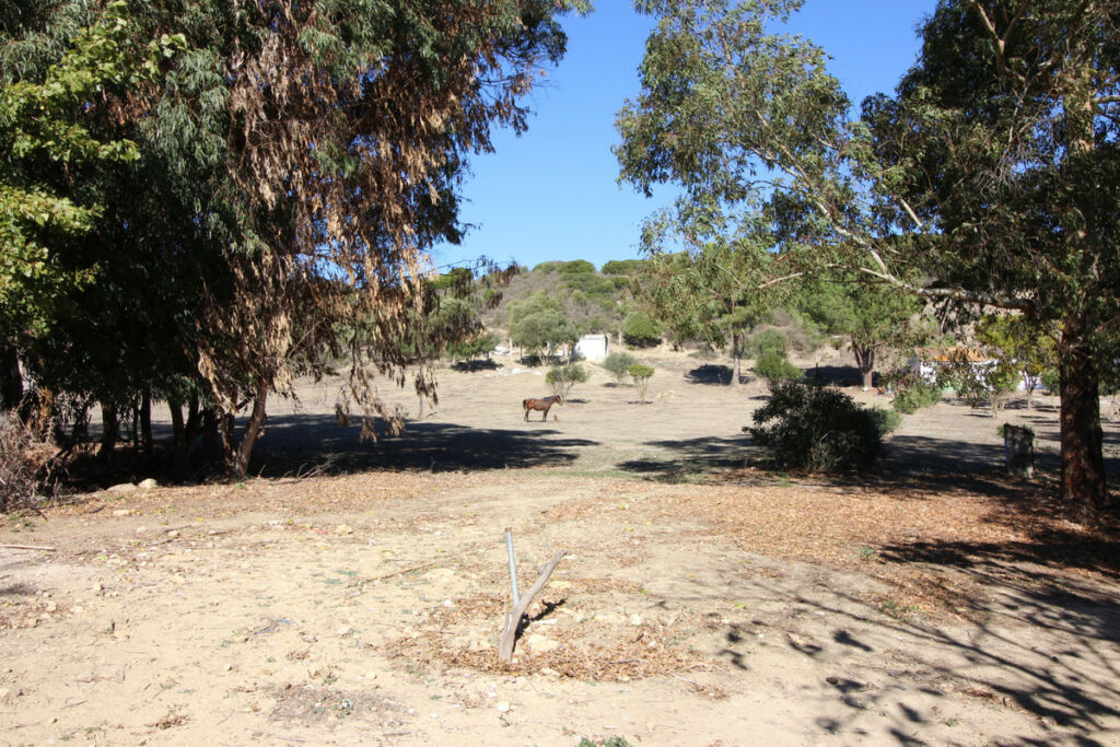 Land San Martín de Tesorillo Cádiz - image 37