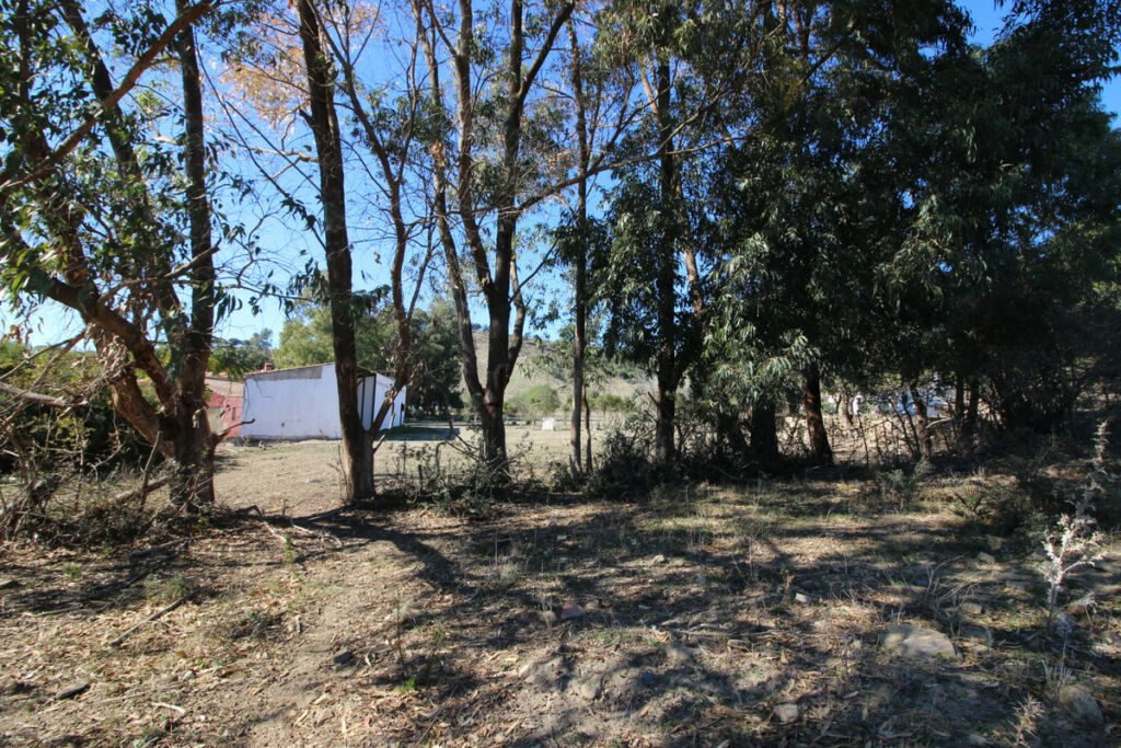Land San Martín de Tesorillo Cádiz - image 38