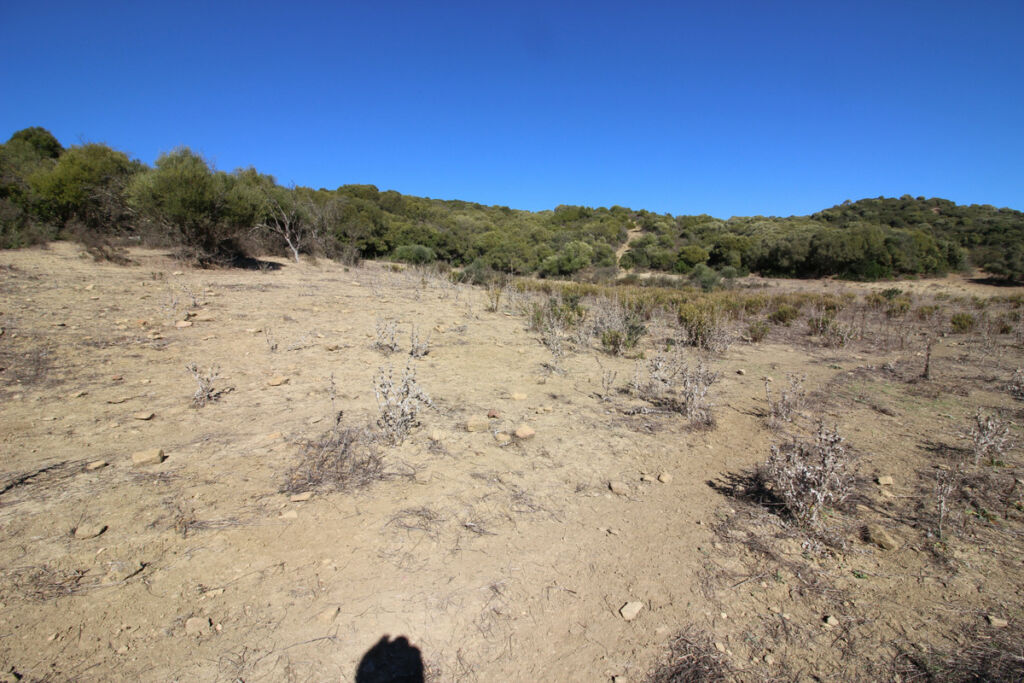 Land San Martín de Tesorillo Cádiz - image 39