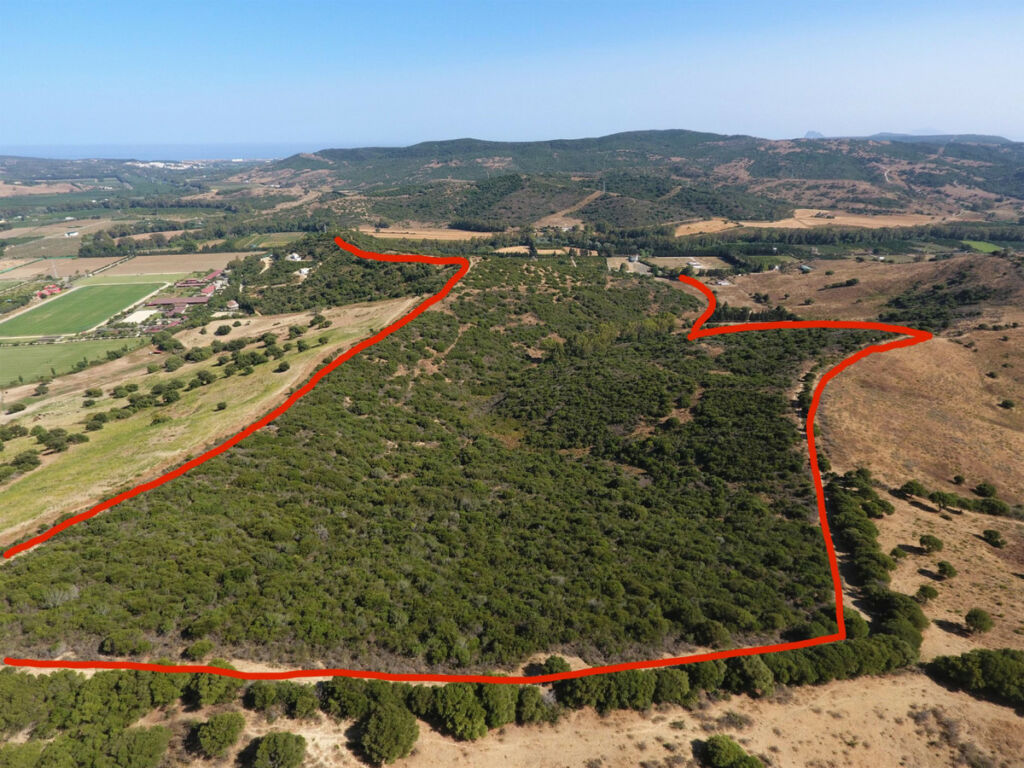 Land San Martín de Tesorillo Cádiz - image 4