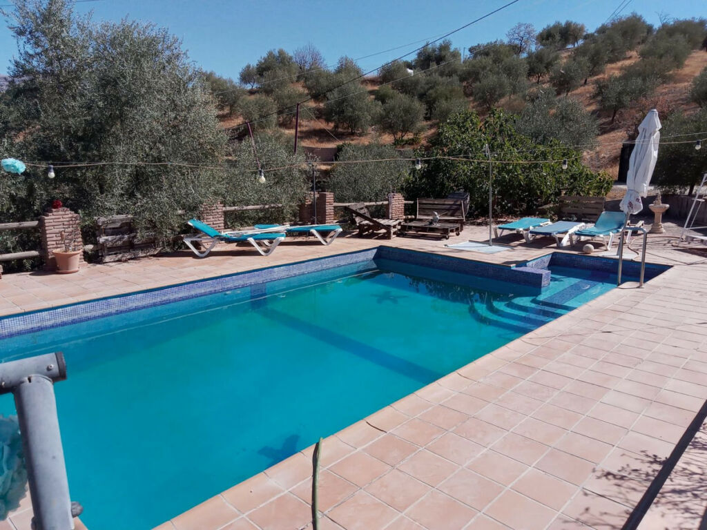 Detached Villa Riogordo Málaga - image 45