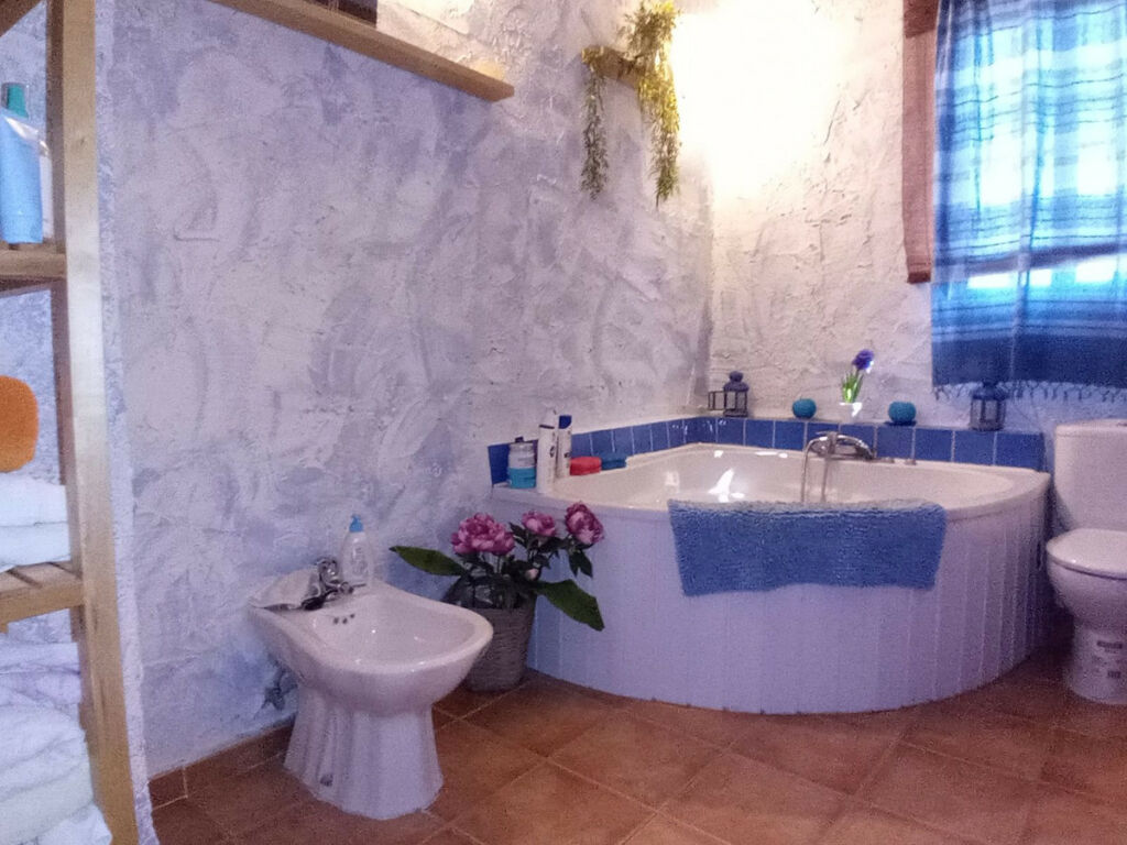 Detached Villa Riogordo Málaga - image 46