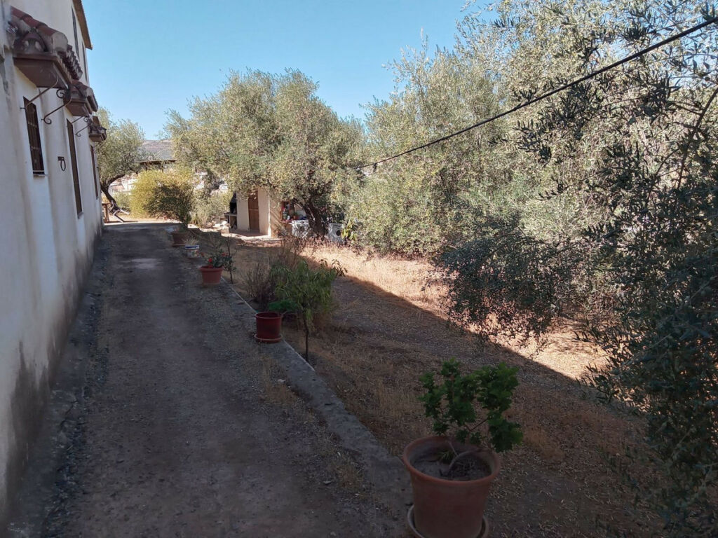 Detached Villa Riogordo Málaga - image 49