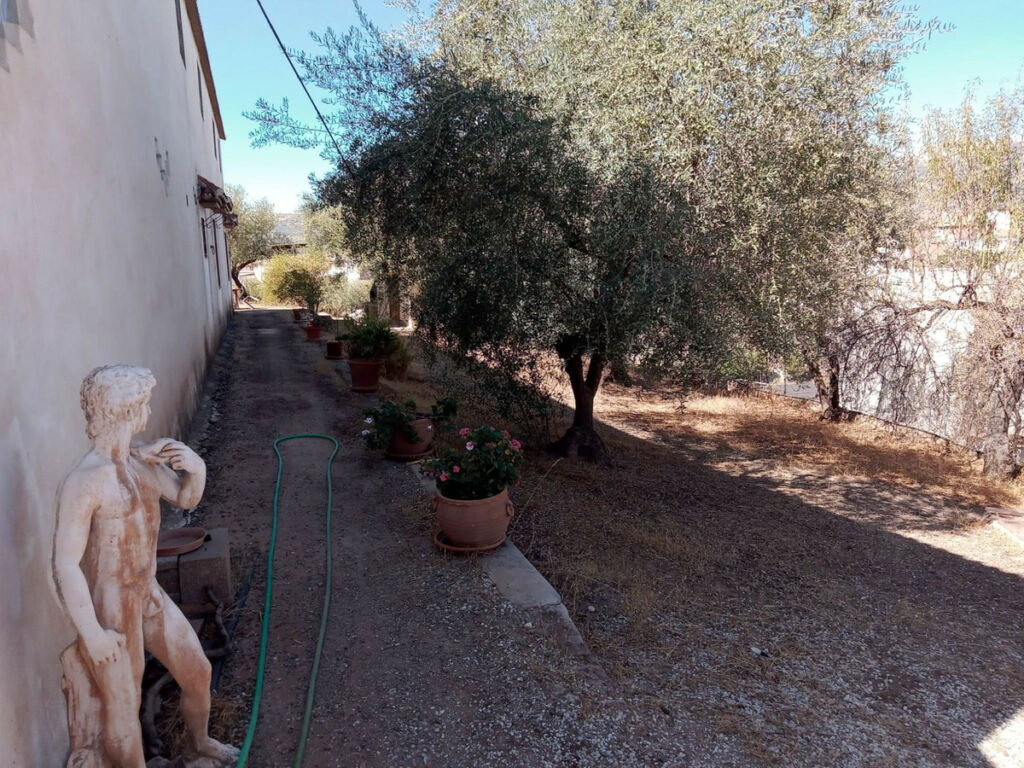 Detached Villa Riogordo Málaga - image 50