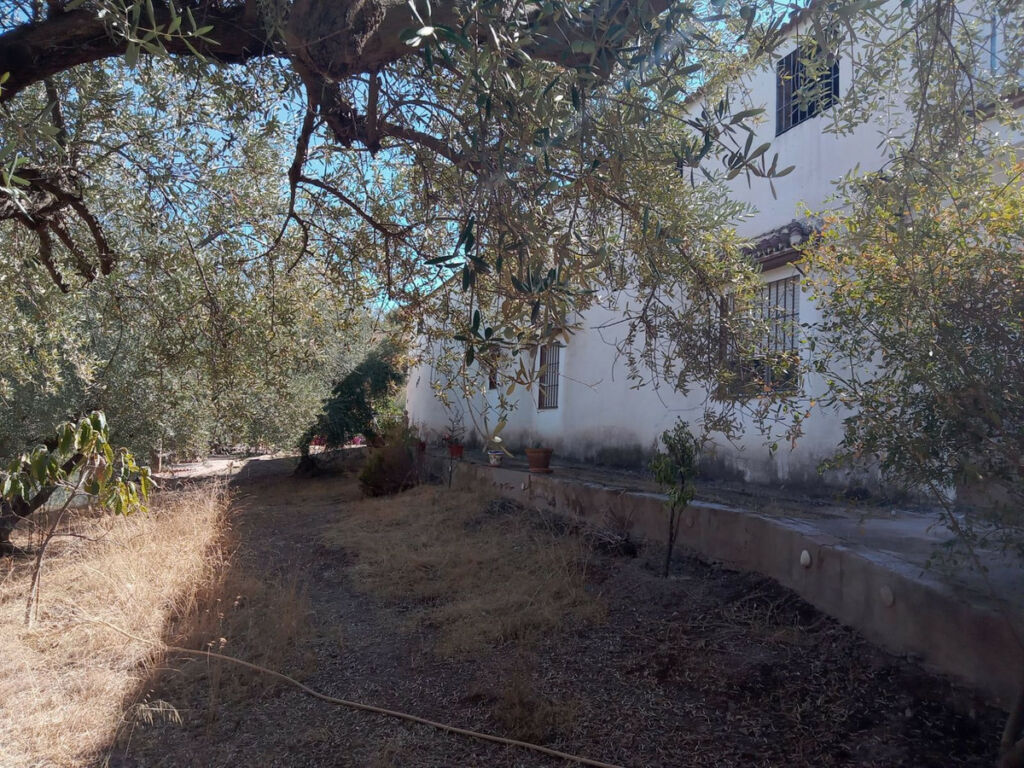 Detached Villa Riogordo Málaga - image 55