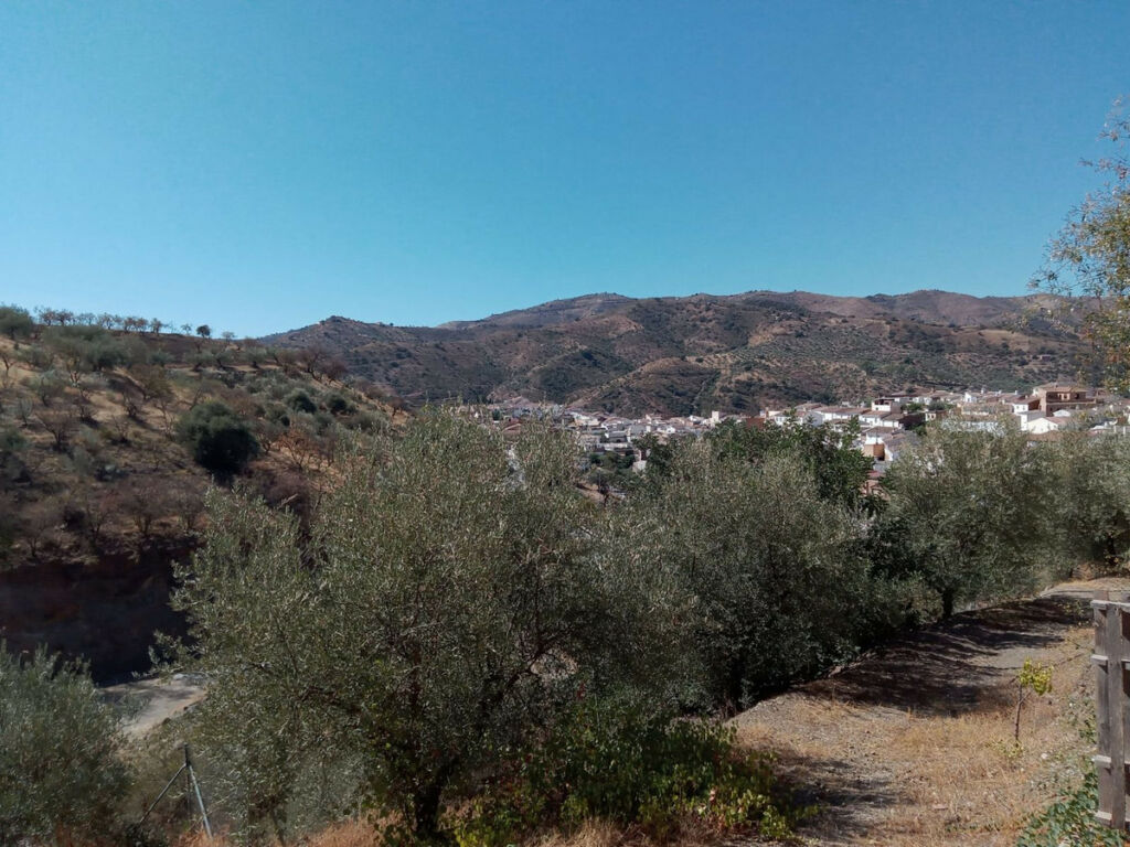 Detached Villa Riogordo Málaga - image 64
