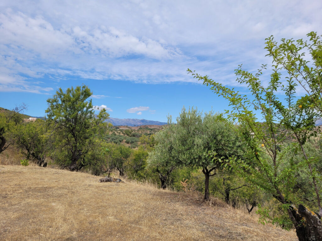 Finca - Cortijo Monda Málaga - image 4
