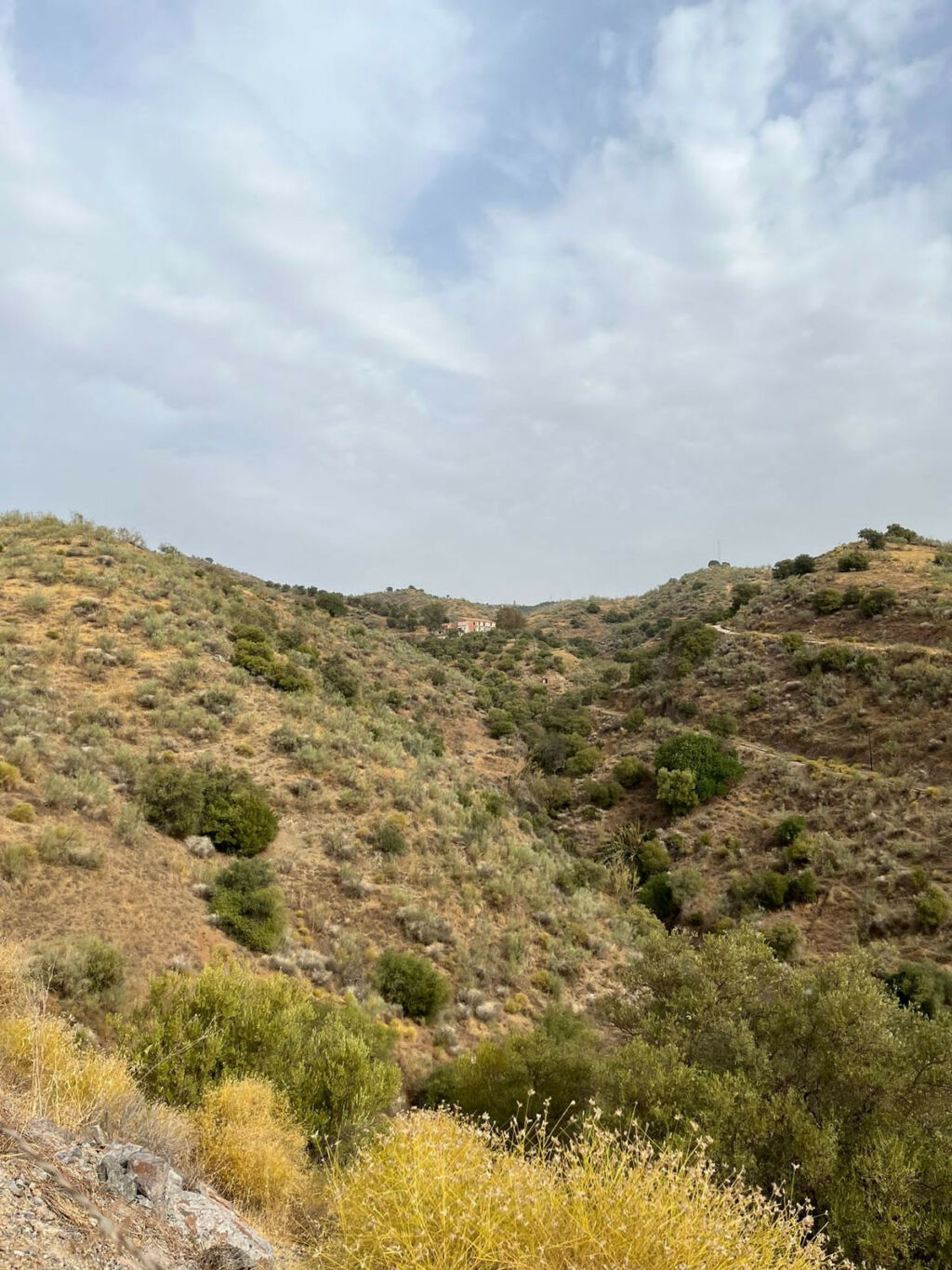 Commercial Plot Cártama Málaga - image 6