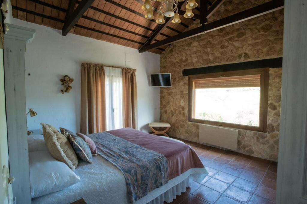 Finca - Cortijo Arcos de la Frontera Cádiz - image 18