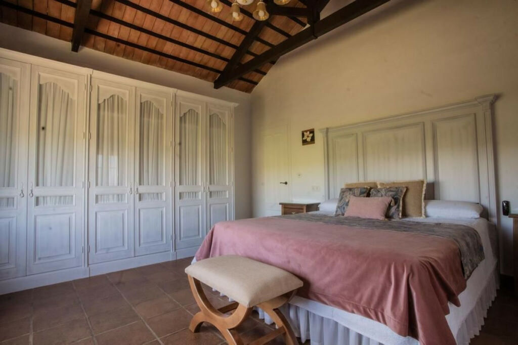 Finca - Cortijo Arcos de la Frontera Cádiz - image 19