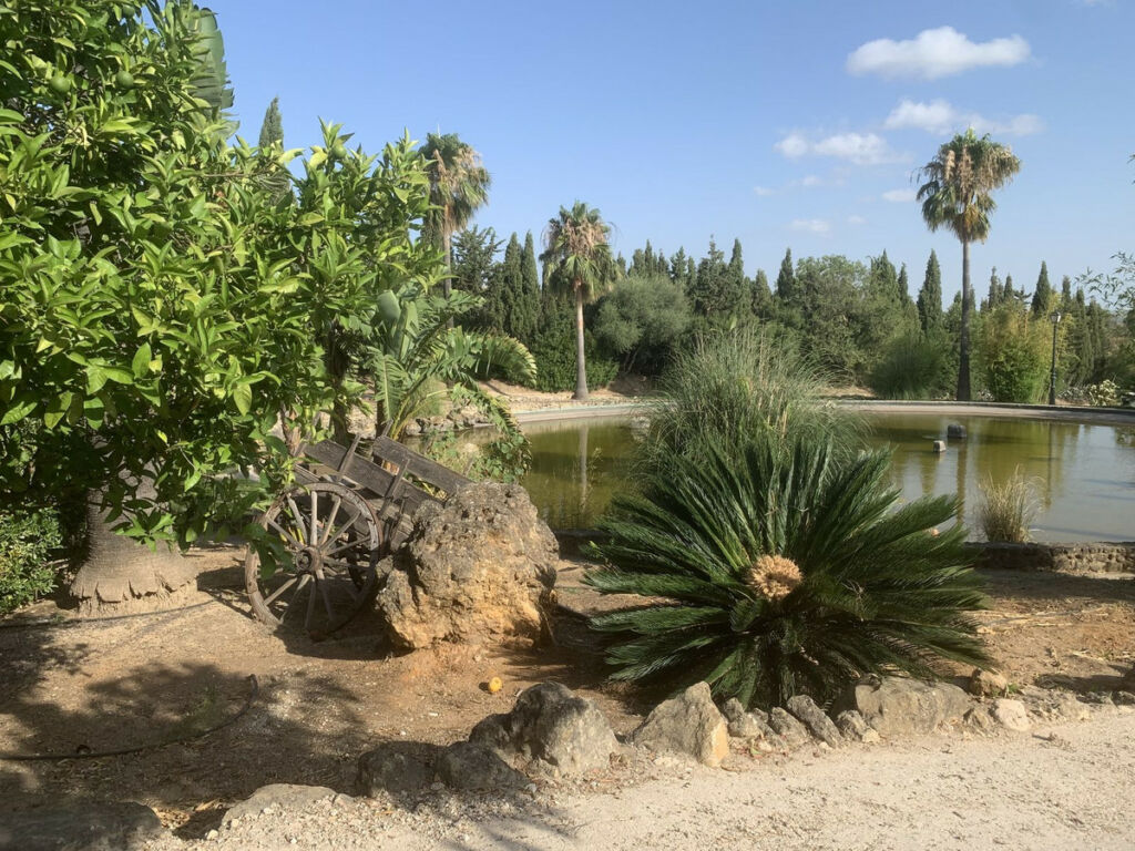 Finca - Cortijo Arcos de la Frontera Cádiz