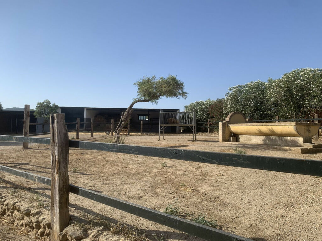 Finca - Cortijo Arcos de la Frontera Cádiz - image 39