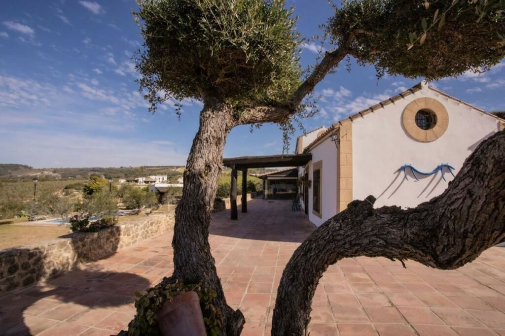 Finca - Cortijo Arcos de la Frontera Cádiz - image 4