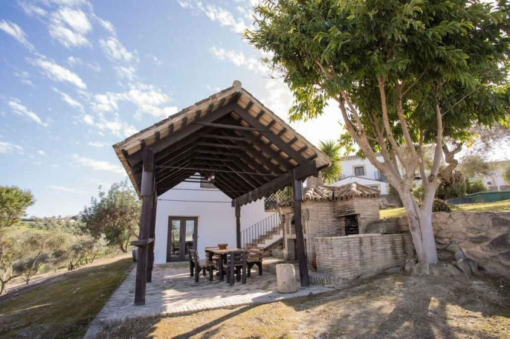 Finca - Cortijo Arcos de la Frontera Cádiz - image 53