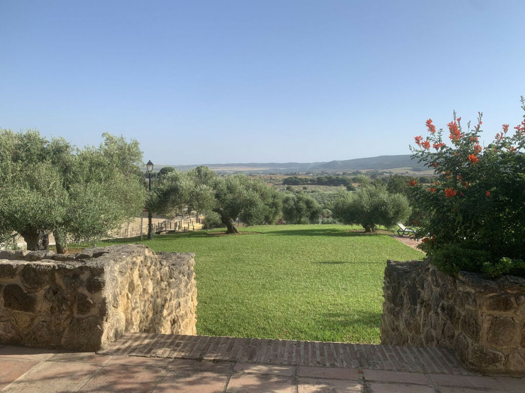 Finca - Cortijo Arcos de la Frontera Cádiz - image 6