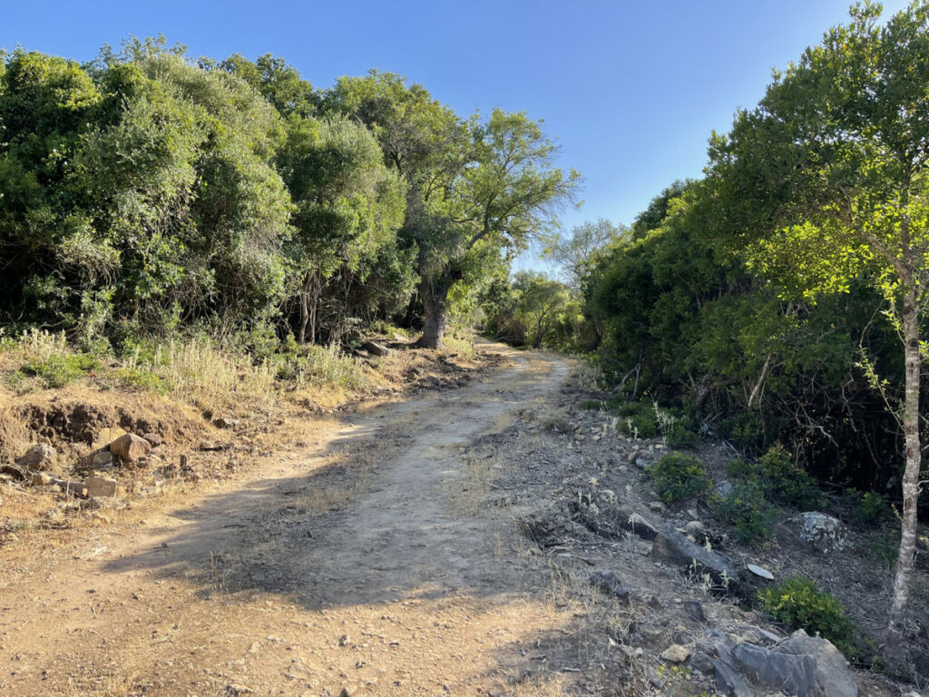 Finca - Cortijo Castellar de la Frontera Cádiz - image 11