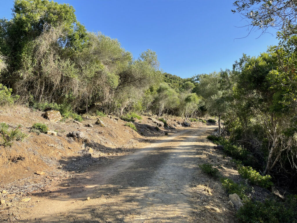 Finca - Cortijo Castellar de la Frontera Cádiz - image 14