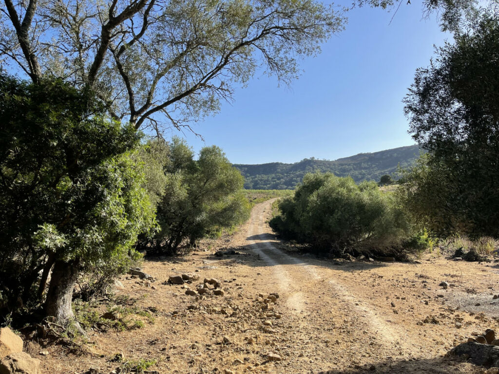 Finca - Cortijo Castellar de la Frontera Cádiz - image 17