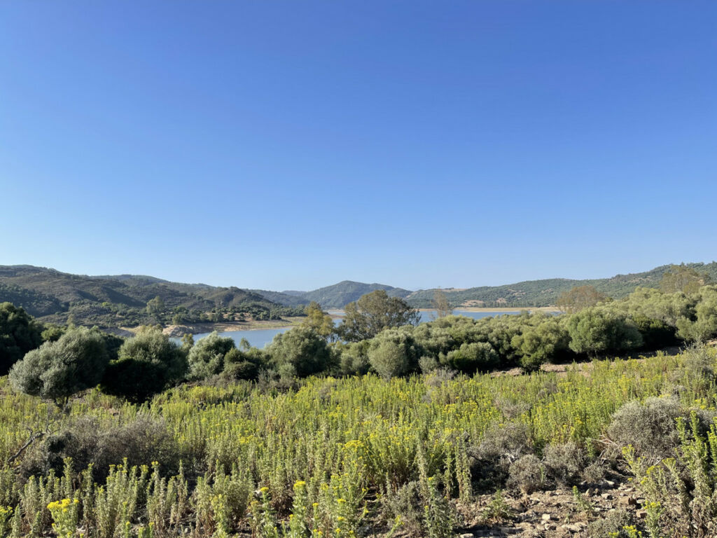 Finca - Cortijo Castellar de la Frontera Cádiz - image 20