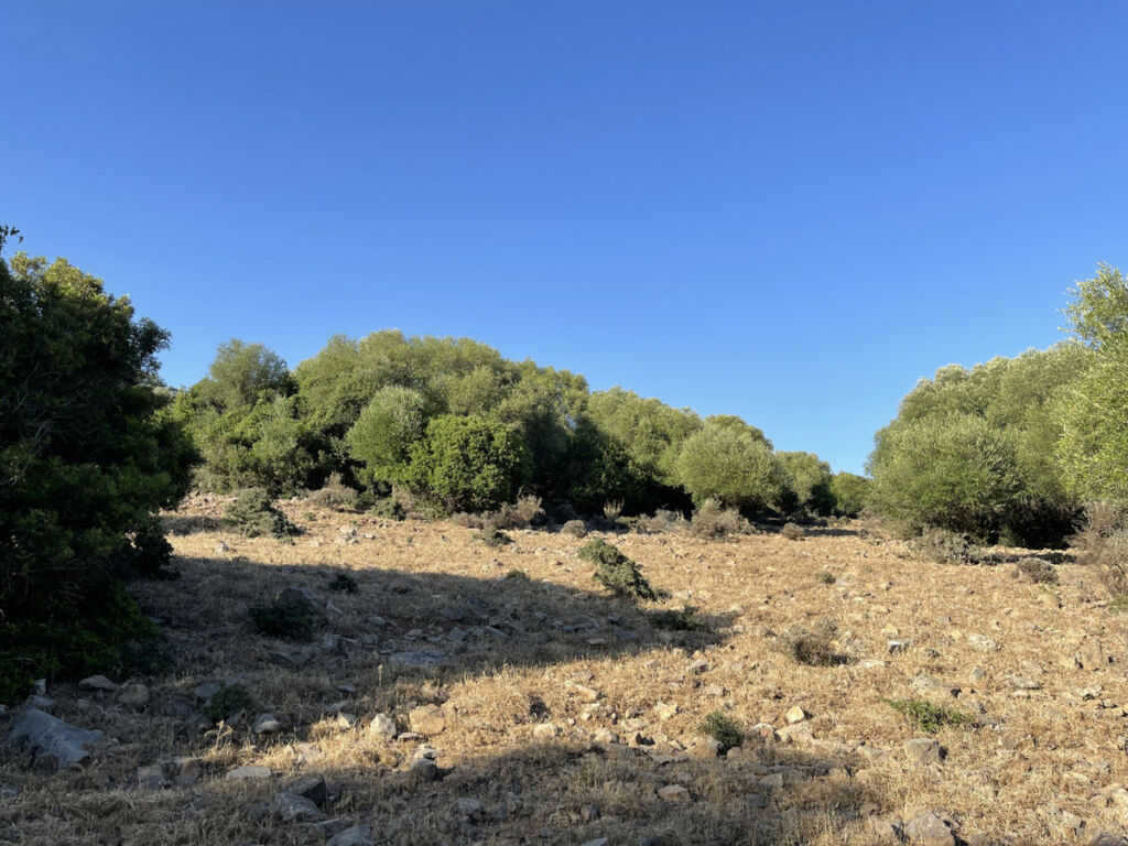 Finca - Cortijo Castellar de la Frontera Cádiz - image 24