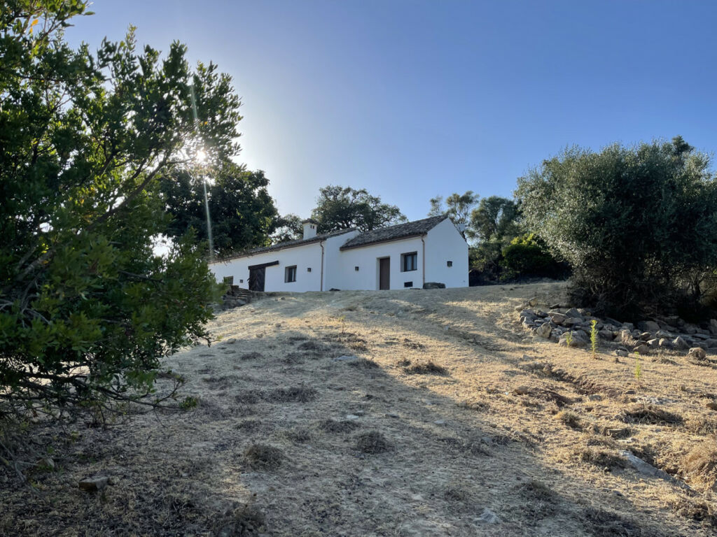 Finca - Cortijo Castellar de la Frontera Cádiz - image 25