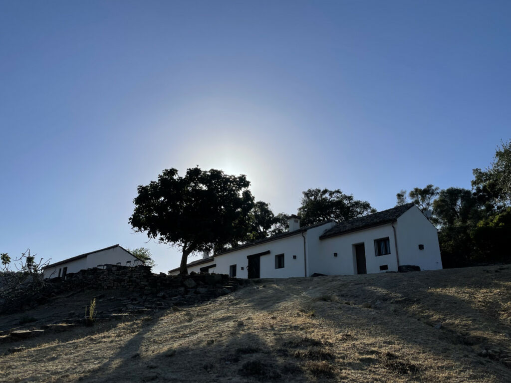 Finca - Cortijo Castellar de la Frontera Cádiz - image 26